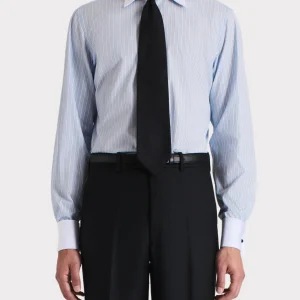 CHEMISE COL LARGE EN POPELINE DE COTON - BLEU CLAIR À RAYURES