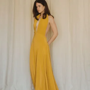Robe Dos Nu Longue en Soie